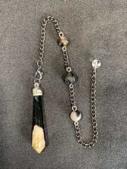 Pendule Racine de Palmier