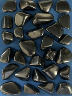 Galets de Shungite