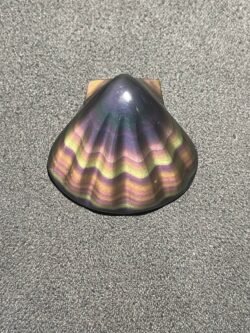 Coquillage en Obsidienne Œil Céleste