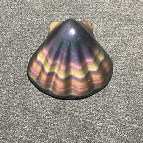 Coquillage en Obsidienne Œil Céleste