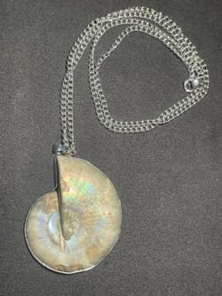 Collier Amonite