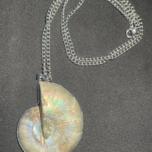Collier Amonite