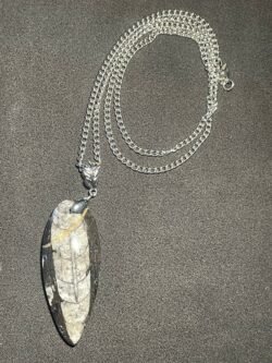 IMG_2751-scaled-1.jpeg Collier Orthoceras