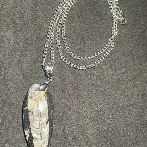 IMG_2751-scaled-1.jpeg Collier Orthoceras