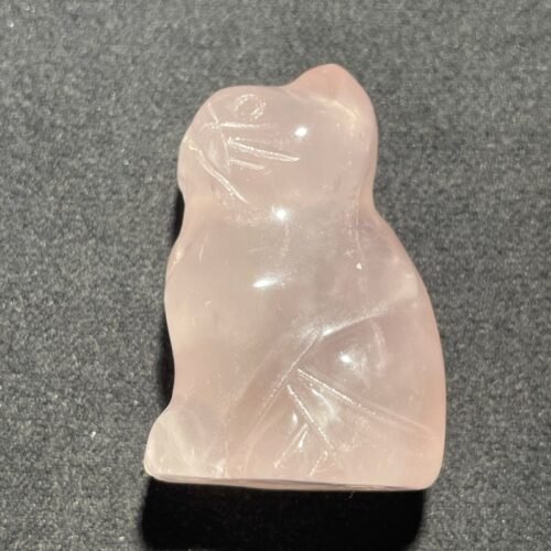IMG_3107-scaled-1.jpeg Chat en Quartz Rose