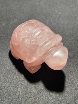 IMG_3115-scaled-1.jpeg Tortue en Quartz Rose