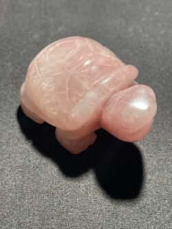 IMG_3116-scaled-1.jpeg Tortue en Quartz Rose
