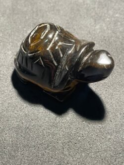 Tortue en Œil de Tigre