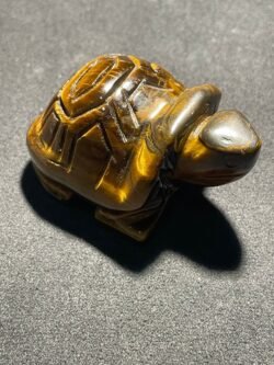 Tortue en Œil de Tigre