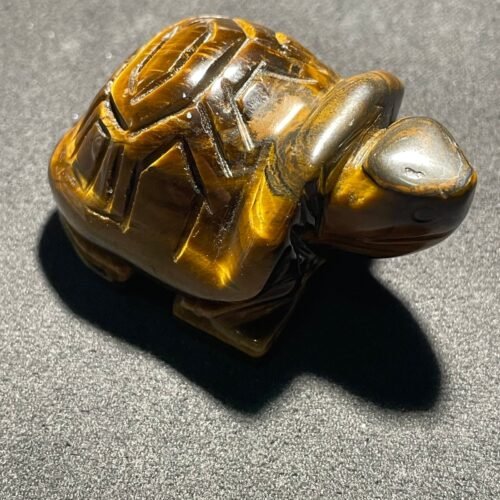 Tortue en Œil de Tigre