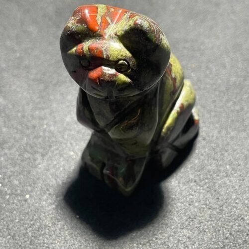 IMG_3126-scaled-1.jpeg Chat en Jaspe Sang de Dragon