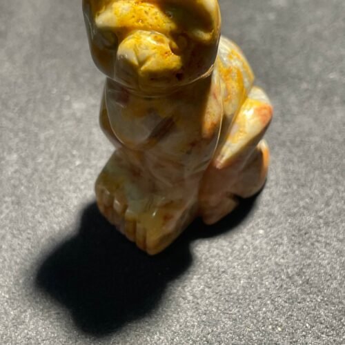 IMG_3128-scaled-1.jpeg Chat en Jaspe Polychrome