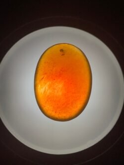 Pendentif d Ambre Bleu