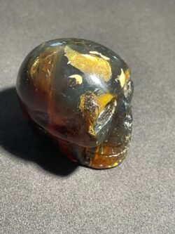 Crâne en Ambre Bleu
