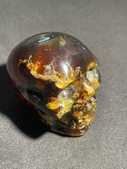 Crâne en Ambre Bleu