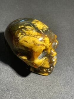 Crâne en Ambre Bleu