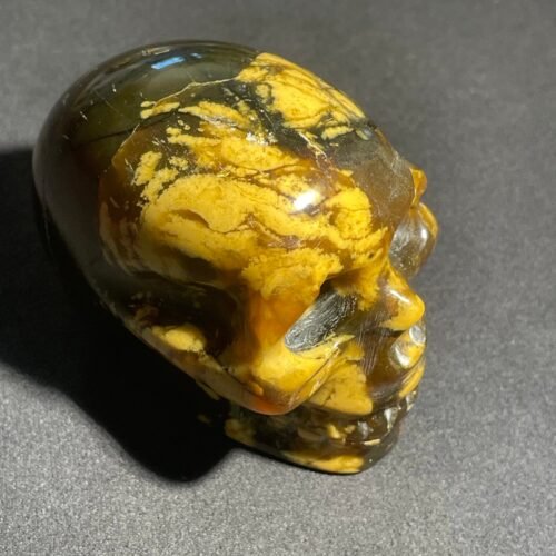 Crâne en Ambre Bleu