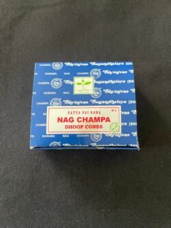 IMG_3435-scaled-1.jpeg Cône d Encens de Nag Champa
