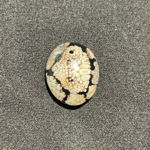 Agate Peau de Serpent