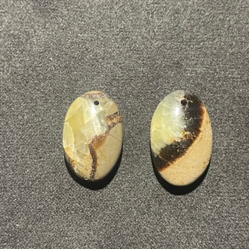 Septaria Double Face