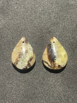 Septaria Double Face