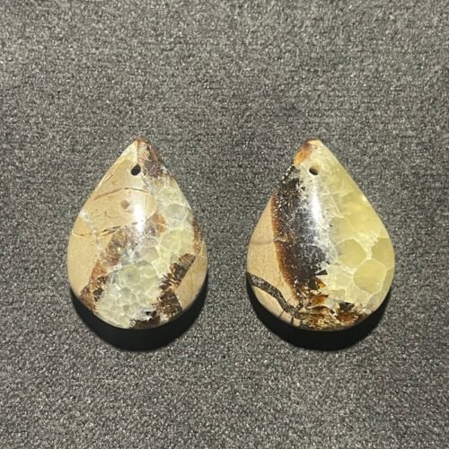 Septaria Double Face