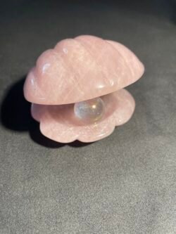 Coquillage St Jacques avec Sphere Angel Aura