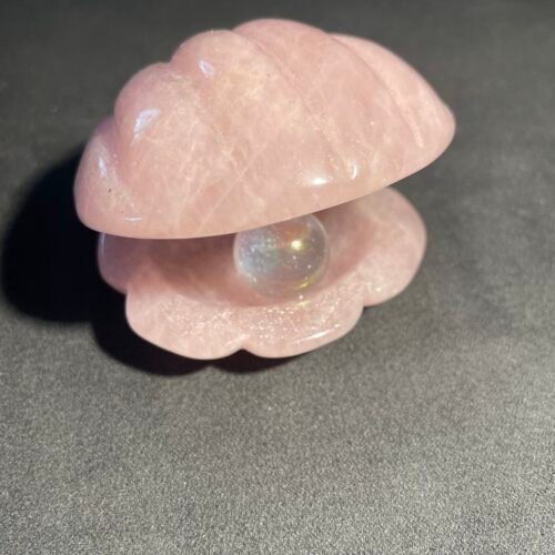 Coquillage St Jacques avec Sphere Angel Aura
