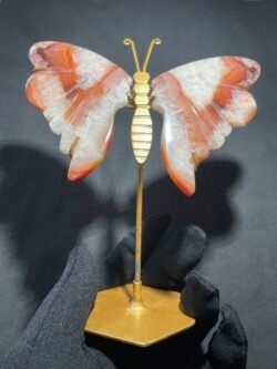 Papillon en Cornaline