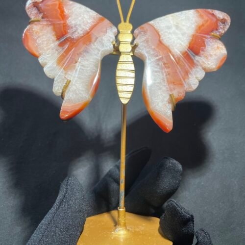 Papillon en Cornaline