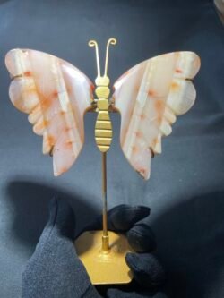 Papillon en Cornaline