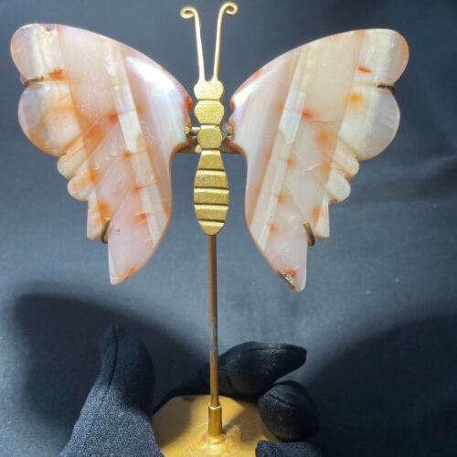 Papillon en Cornaline