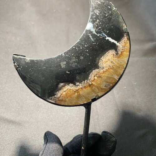 Lune en Racine de Palmier