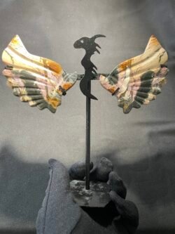 Dragon en Jaspe Océan