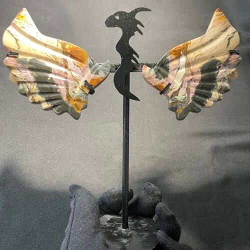 IMG_4253 Dragon en Jaspe Océan