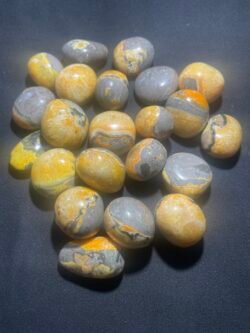 IMG_5262 Galets de Jaspe Bumblebee