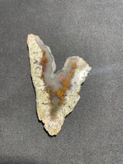 Tranche d Agate Mousse