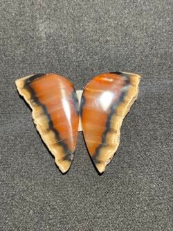 Papillon en Paire de Cornaline