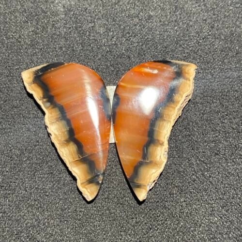 Papillon en Paire de Cornaline