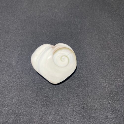 Coeur Oeil de Ste Lucie