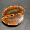 Agate Entière Coupée en Deux