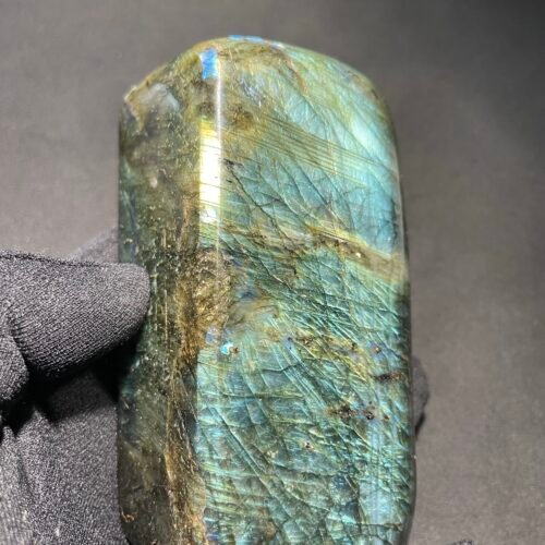 Forme Libre en Labradorite Spectrolite bleu