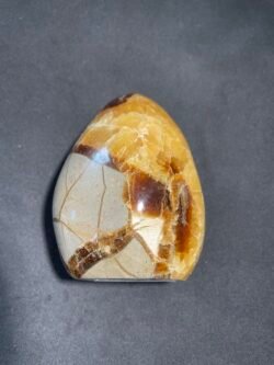 Forme Libre en Septaria