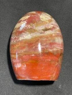 Forme Libre en Bois Fossilisé