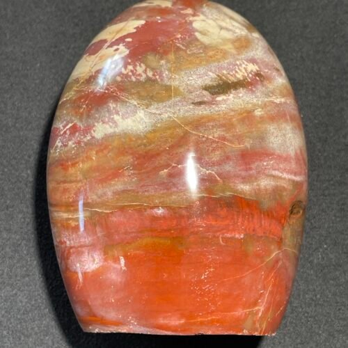 Forme Libre en Bois Fossilisé