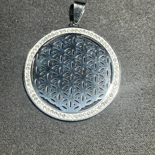 IMG_6515 Fleur de Vie en Acier Inoxydable