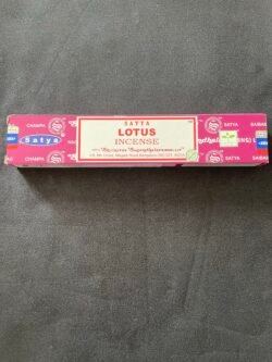 IMG_7228 Bâtonnet d Encens Lotus
