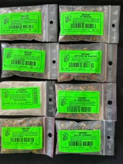 Encens à Brûler Sachet de 20 grs