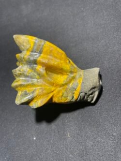 IMG_7635 Crâne de Dragon en Jaspe Bumblebee