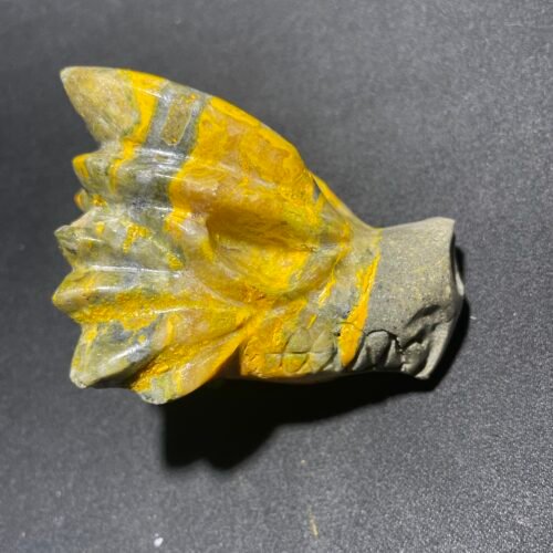 Crâne de Dragon en Jaspe Bumblebee